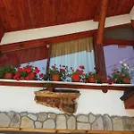 орфей Guest house 3*