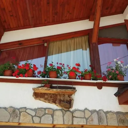 орфей Guest house 3*
