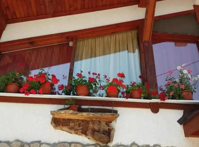 орфей Guest house 3*